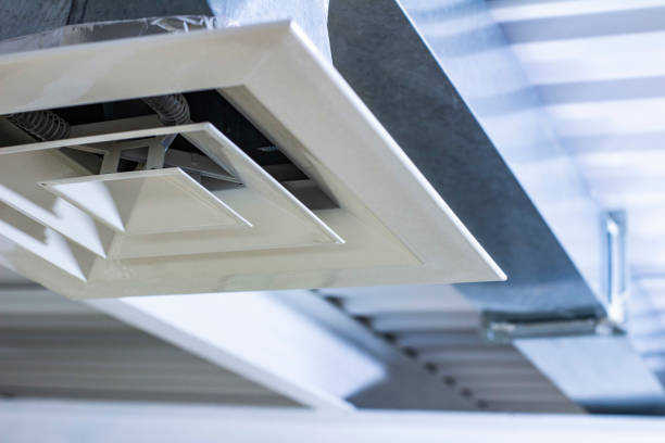 Best Air Duct Cleaning Near Me  in Hornsby Bend, TX
