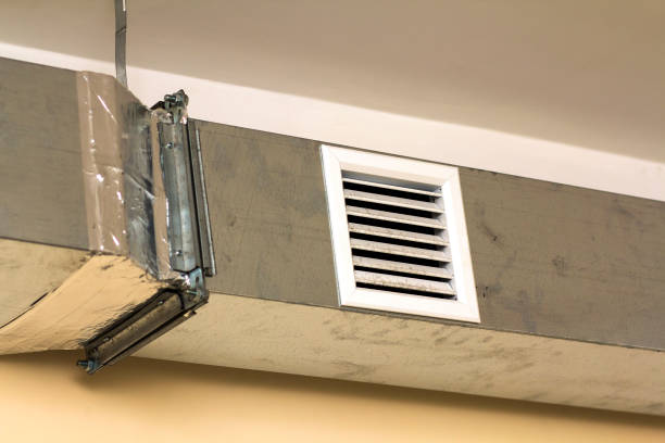 Best Residential Air Duct Cleaning  in Hornsby Bend, TX